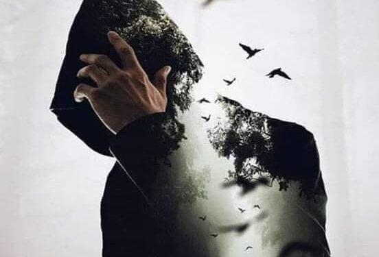 دعهم يتطايرون ..