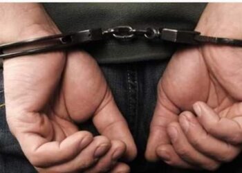 ضبط مستريح الدواجن بأبو كبير بالشرقية استولى على 50 مليون جنيه من ضحاياه.