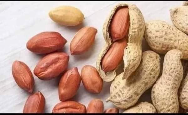 الفول السوداني وفوائده مكسرات الفقراء