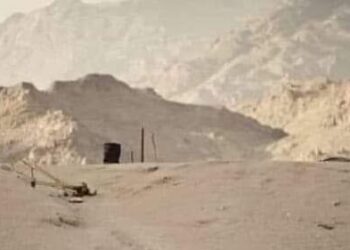 زهرة قريش” أفضل فتيات قريش “