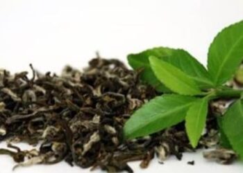 هل تعلم بأن للشاي