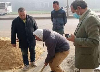 محافظة الشرقية حملات مكثفة لرفع الإشغالات وإزالة التعديات على الأراضى الزراعية 