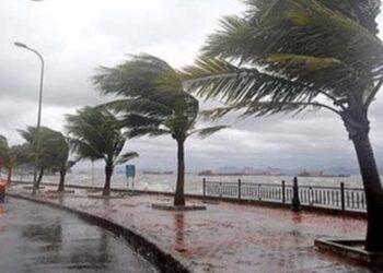 النشرة الجوية اليومية