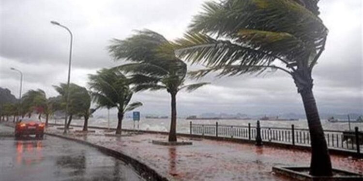 النشرة الجوية اليومية