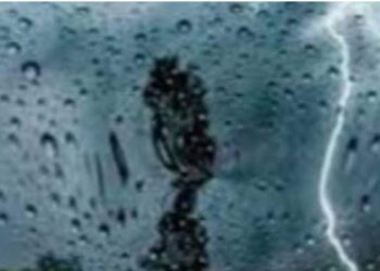 النشرة الجوية اليومية. 