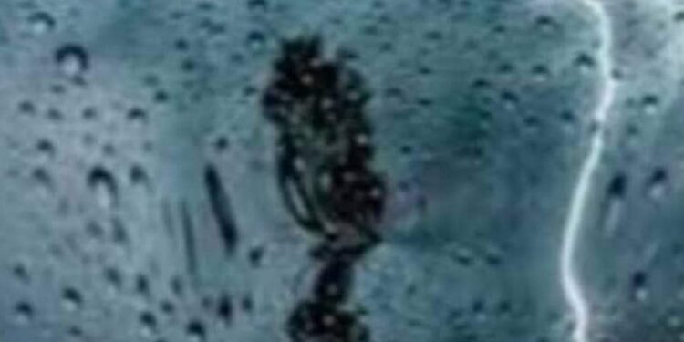 النشرة الجوية اليومية.