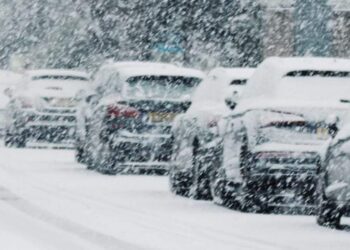 النشرة الجوية اليومية. 