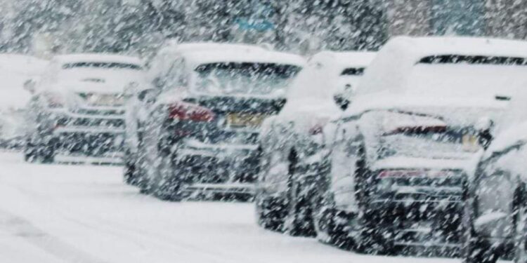 النشرة الجوية اليومية.