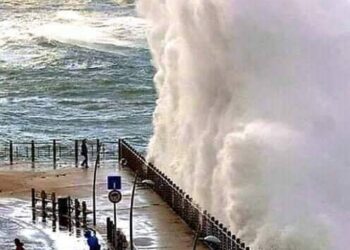 النشرة الجوية اليومية. 