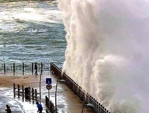 النشرة الجوية اليومية.