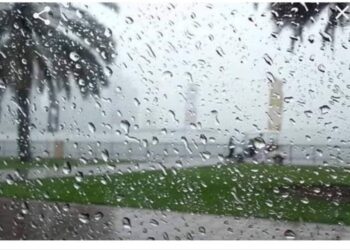 النشرة الجوية اليومية