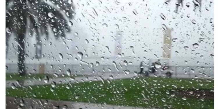 النشرة الجوية اليومية