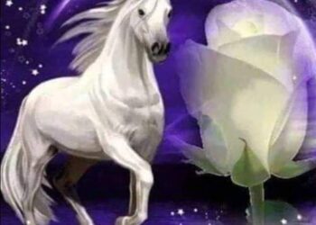 فلسفة الحنين وبلطجة الأنين ..