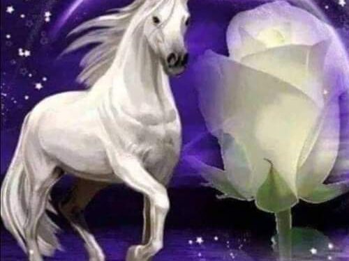 فلسفة الحنين وبلطجة الأنين ..