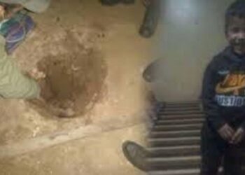 مشاهد وقصص لأطفال