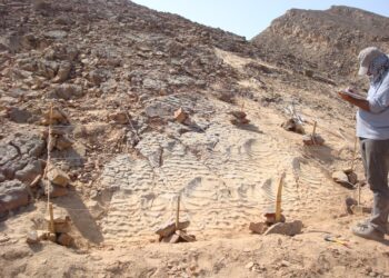 3 علماء مصريين