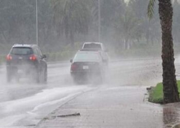 النشرة الجوية اليومية