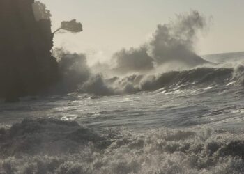 الموج القادم