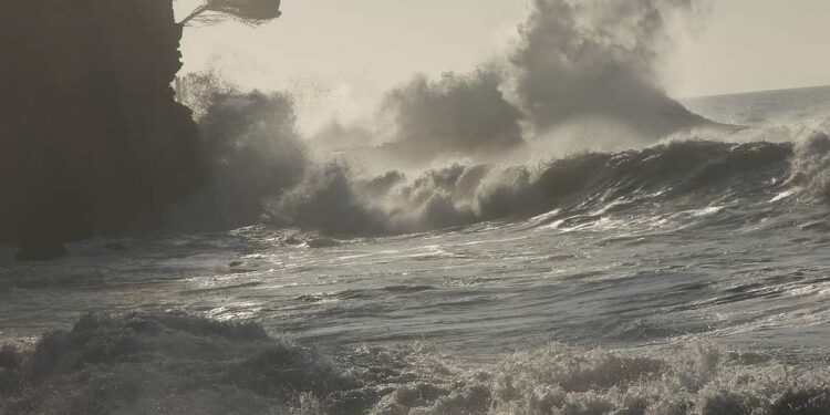 الموج القادم