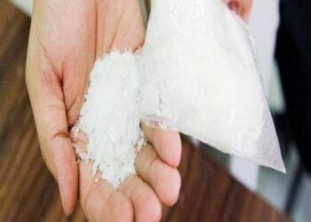 الشبو قاتل محترف 