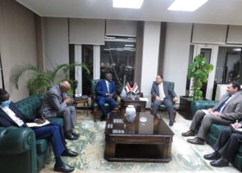 وزير المالية والتخطيط الاقتصادى السودانى نقل تجربة شركة «إى فاينانس».. ذراع الدولة المصرية القوى. 