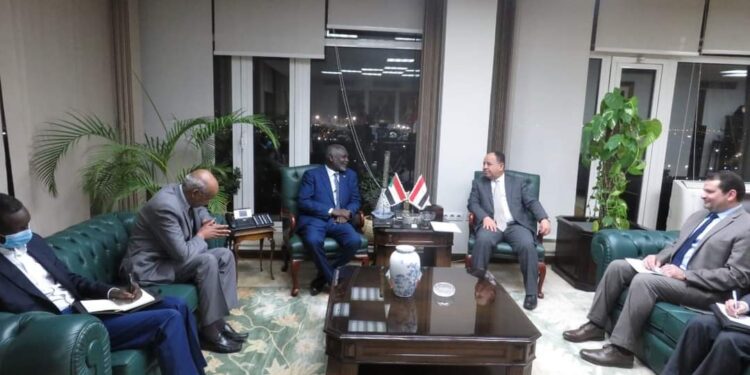 وزير المالية والتخطيط الاقتصادى السودانى نقل تجربة شركة «إى فاينانس».. ذراع الدولة المصرية القوى.