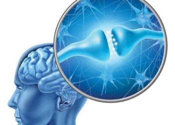 الأحاسيس ، و العاطفة ، الجوع ، و العطش ، الشهية و التركيز ، و المزاج ، و كل ما نشعر به يكون تحت تأثير كيمياء الدماغ .