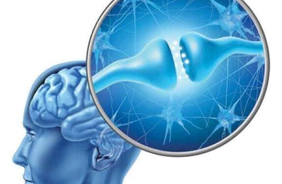 الأحاسيس ، و العاطفة ، الجوع ، و العطش ، الشهية و التركيز ، و المزاج ، و كل ما نشعر به يكون تحت تأثير كيمياء الدماغ .