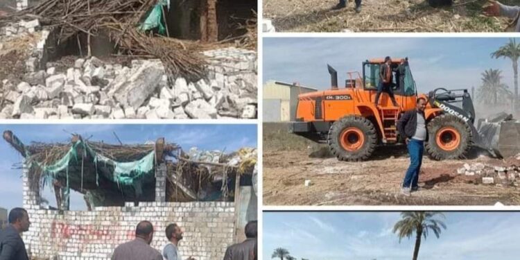 زراعة ابشواى إزالة حاله تعدي بالبناء المخالف الآن بابوجنشوا