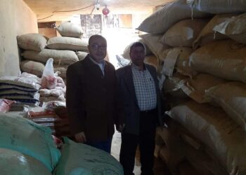 ضبط وإعدام 22 طن و5500 أغذية غير صالحة للاستهلاك الآدمى بنطاق حي ثاني المحلة.