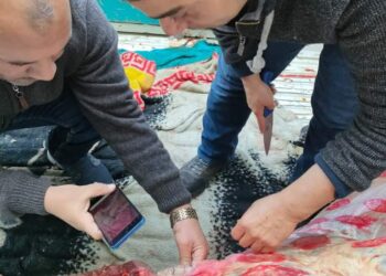 استمرار مديرية الطب البيطري فى محاربة الفساد والتفتيش بالغربيه