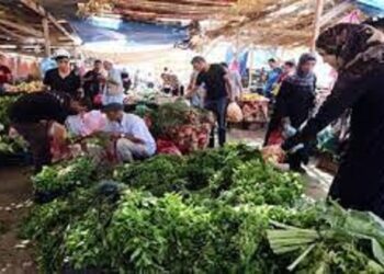 زيادة جنونية بأسعار