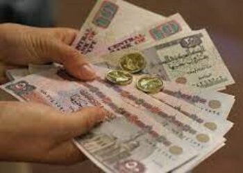 الجنيه المصرى