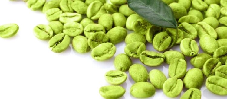 القهوة الخضراء