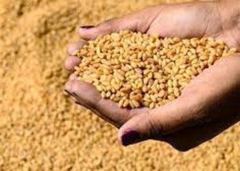 ليبيا تواجه