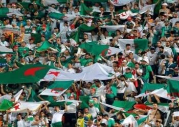 هدايا عظيمة للخُضر قبل مواجهة الأسود