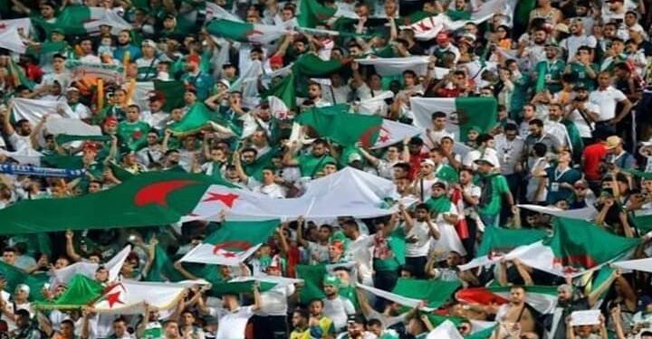 هدايا عظيمة للخُضر قبل مواجهة الأسود