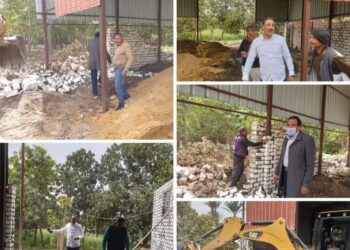 زراعة ابشواى إزالة 11 حالة تعدي بالبناء المخالف بابوكساه