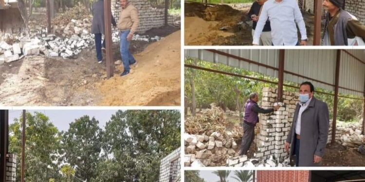 زراعة ابشواى إزالة 11 حالة تعدي بالبناء المخالف بابوكساه