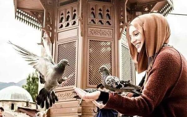 رواية مقدسة