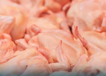 انخفاض الأسعار في الاسواق قبل شهر رمضان الفراخ ب28 جنيها واللحمة ب80جنيها