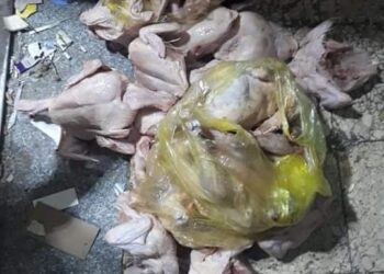 ضبط لحوم غير صالحة للاستهلاك الأدمي بمدينة اسيوط