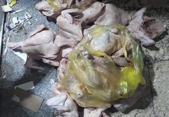 ضبط لحوم غير صالحة للاستهلاك الأدمي بمدينة اسيوط
