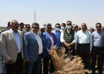 محافظ الفيوم يفتتح موسم