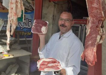 الوفد مع الناس