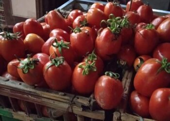 تاجر من دمياط ضد الغلاء 