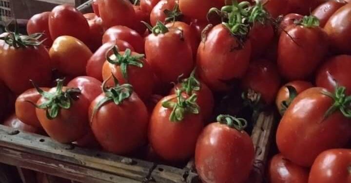 تاجر من دمياط ضد الغلاء 