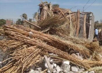 زراعة ابشواى إزالة 5 حالات تعدي بالبناء المخالف بابوجنشوا