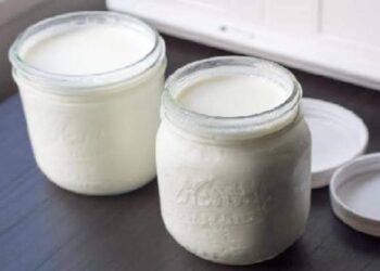 طريقة عمل الزبادي