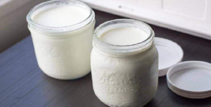 طريقة عمل الزبادي